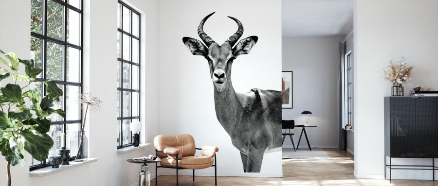 PHOTOWALL / Safari Profile - Antelope (e328579)