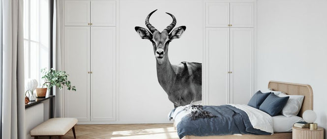 PHOTOWALL / Safari Profile - Antelope (e328579)