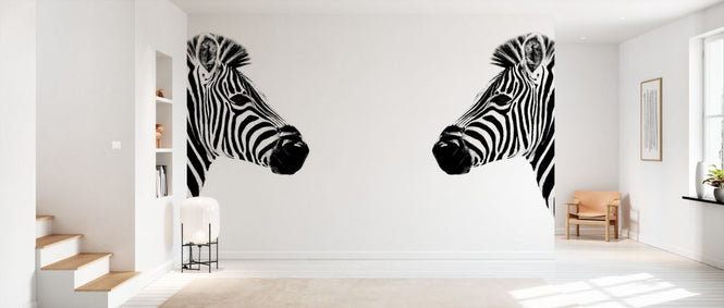 PHOTOWALL / Safari Profile - Zebras Face to Face (e328582)