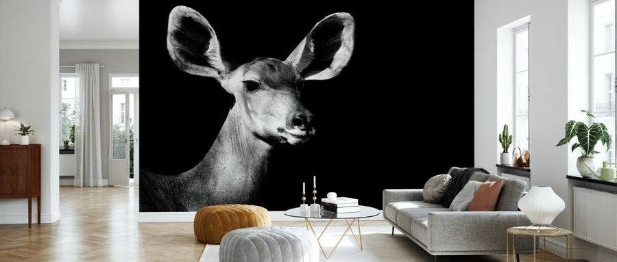 PHOTOWALL / Safari Profile - Antelope Impala (e328583)