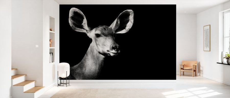 PHOTOWALL / Safari Profile - Antelope Impala (e328583)