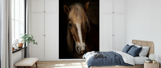 PHOTOWALL / Sapience (e328166)