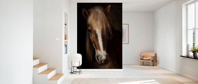 PHOTOWALL / Sapience (e328166)