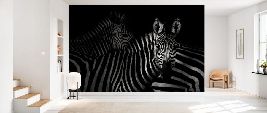 PHOTOWALL / Zebras (e328168)