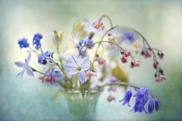 PHOTOWALL / Spring Treasures (e328178)
