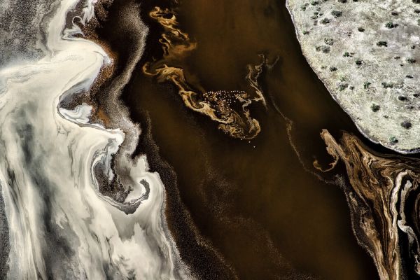 PHOTOWALL / Kenya Flamingo (e328181)