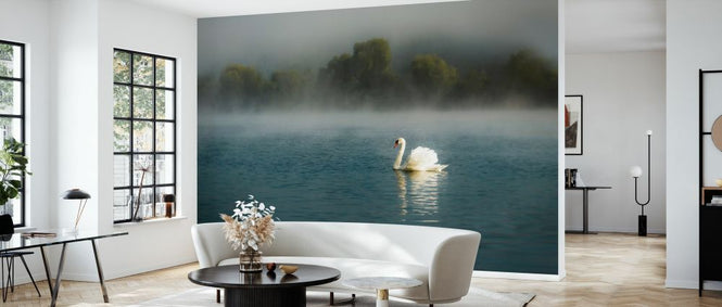 PHOTOWALL / Swan in the Lake (e328482)