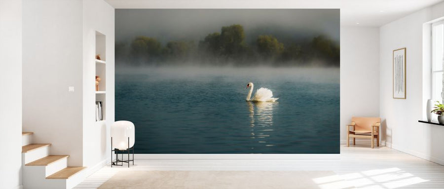 PHOTOWALL / Swan in the Lake (e328482)