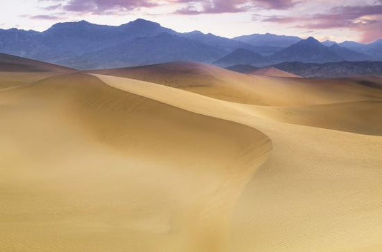 PHOTOWALL / Mesquite Flat Sand Dunes (e328484)