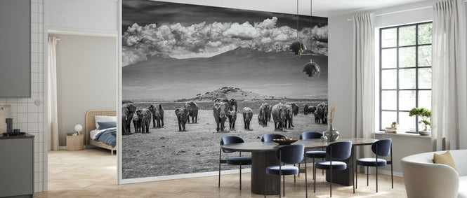 PHOTOWALL / Titans (e328491)