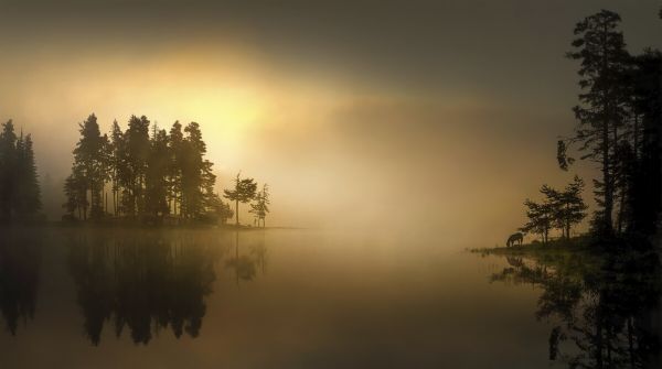 PHOTOWALL / Foggy Waters (e328494)