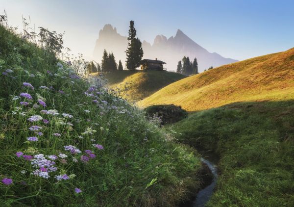 PHOTOWALL / Flowery Morning (e328500)