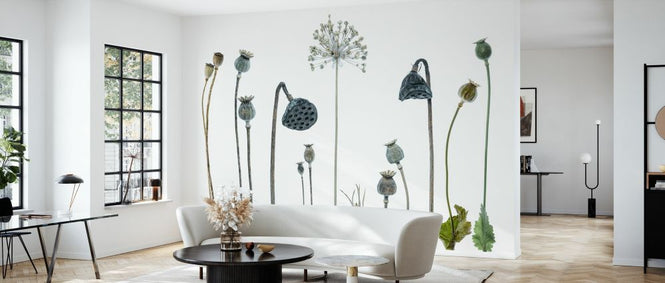 PHOTOWALL / Seed Heads (e328513)