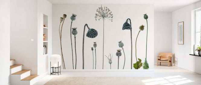 PHOTOWALL / Seed Heads (e328513)