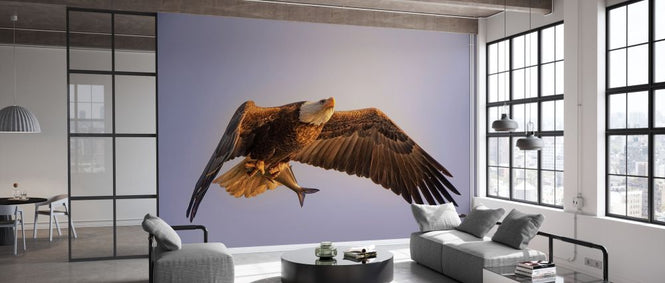 PHOTOWALL / Eagle (e328516)
