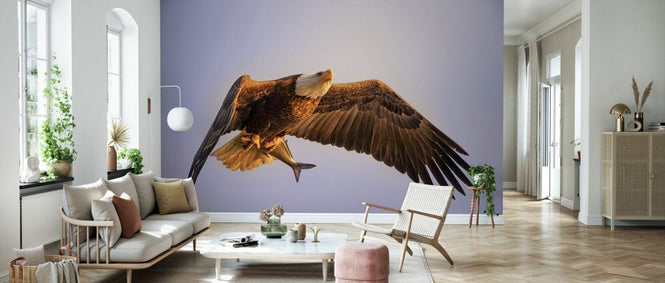 PHOTOWALL / Eagle (e328516)