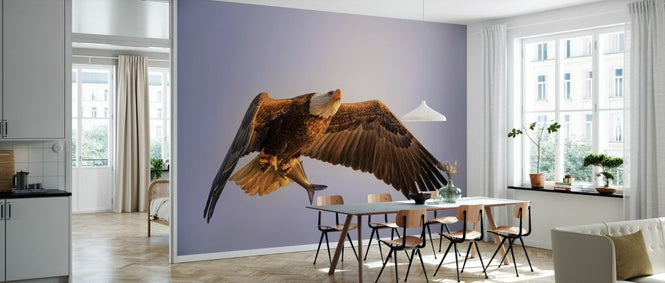 PHOTOWALL / Eagle (e328516)