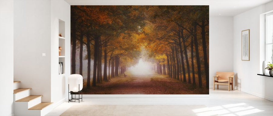PHOTOWALL / Foggy Autumn Dream (e328527)