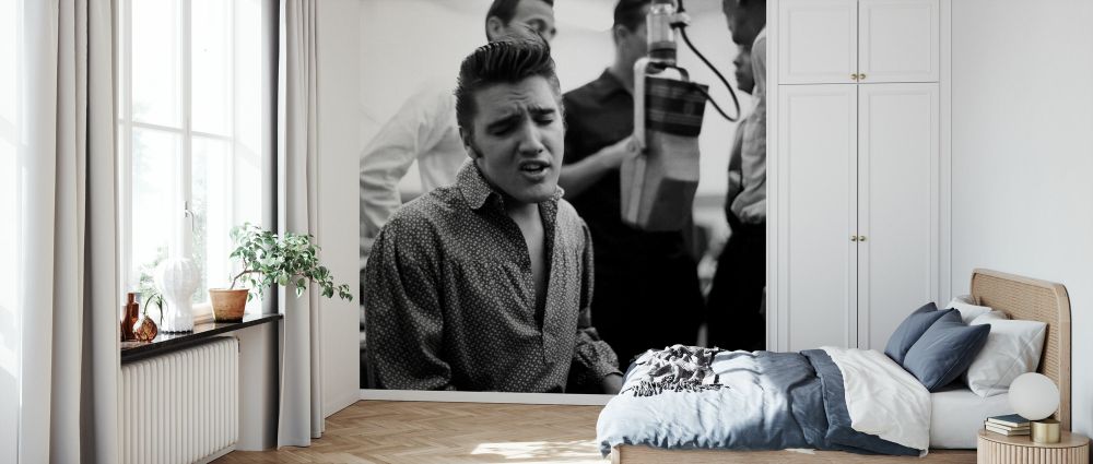 PHOTOWALL / Elvis Presley (e328287) | 輸入壁紙専門店 WALPA – WALPA.jp