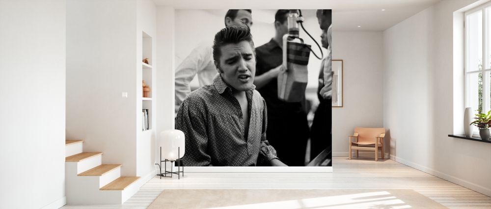 PHOTOWALL / Elvis Presley (e328287) | 輸入壁紙専門店 WALPA – WALPA.jp