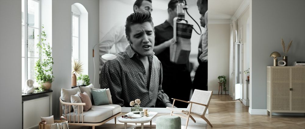 PHOTOWALL / Elvis Presley (e328287) | 輸入壁紙専門店 WALPA – WALPA.jp