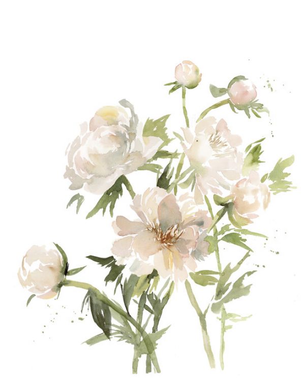 PHOTOWALL / Peonies (e327969)