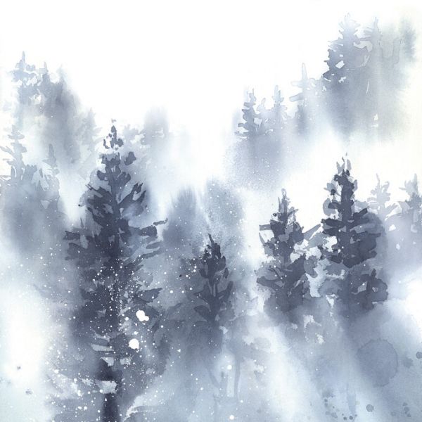 PHOTOWALL / Misty Forest (e327970)
