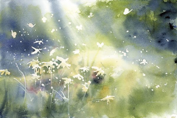 PHOTOWALL / Landscape Light (e327975)