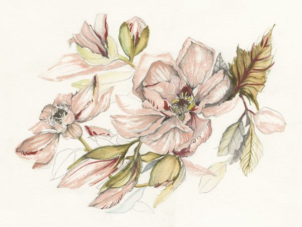 PHOTOWALL / Magnolia Morning (e328202)