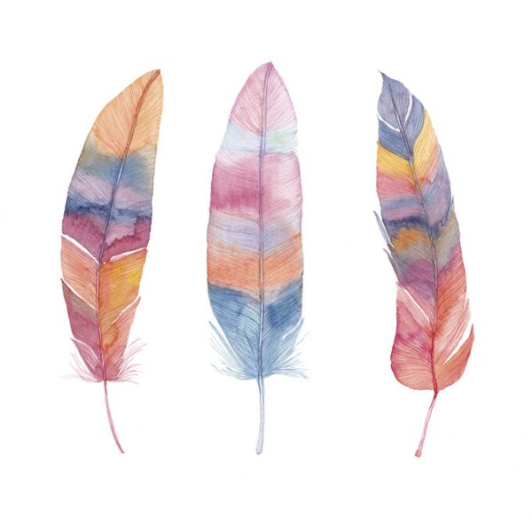 PHOTOWALL / Boho Feathers (e328210)
