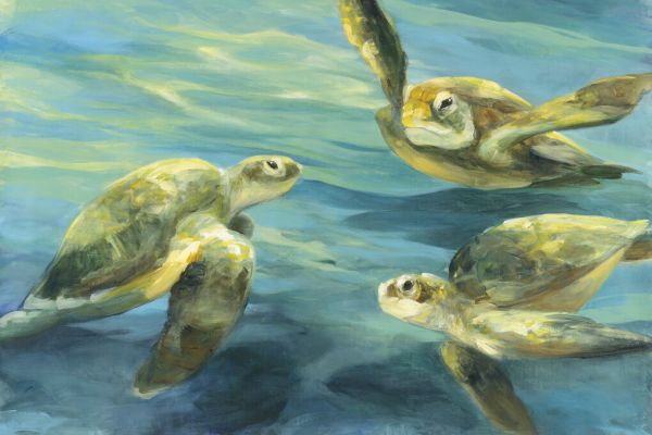 PHOTOWALL / Sea Turtles (e328247)