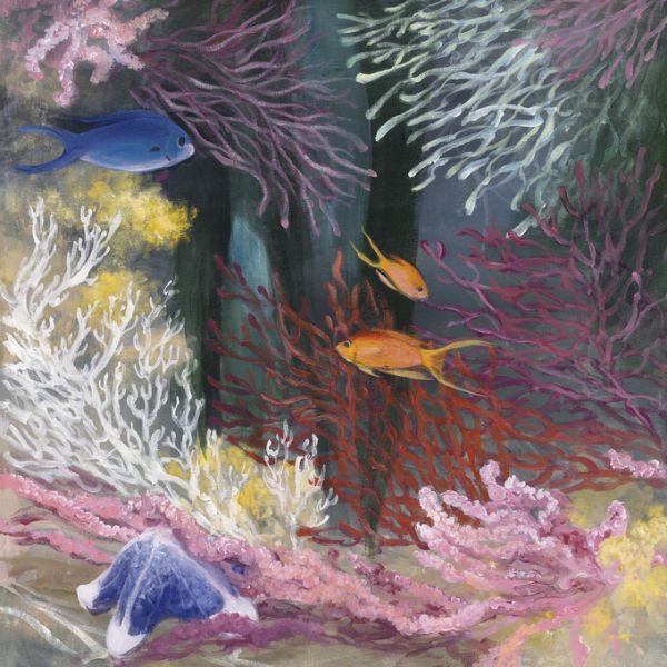 PHOTOWALL / Coastal Reef (e328248)