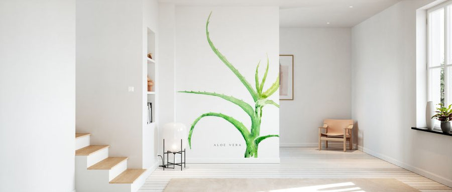 PHOTOWALL / Aloe Vera (e325750)