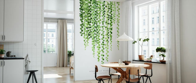 PHOTOWALL / String of Pearls (e325786)