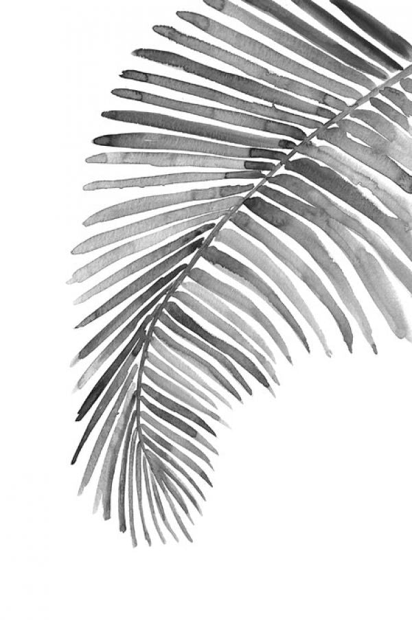PHOTOWALL / Watercolor Palm Leaves - Bw (e325790)