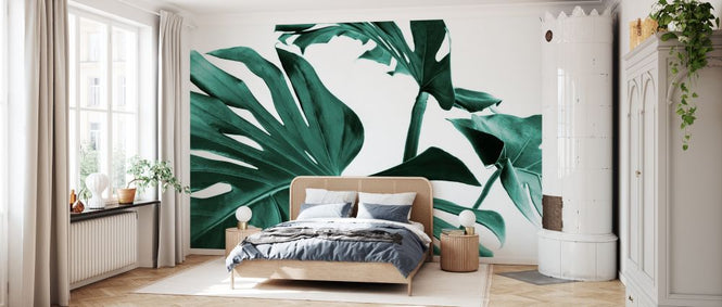 PHOTOWALL / Monstera Leaves (e327862)