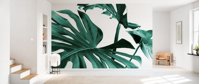PHOTOWALL / Monstera Leaves (e327862)