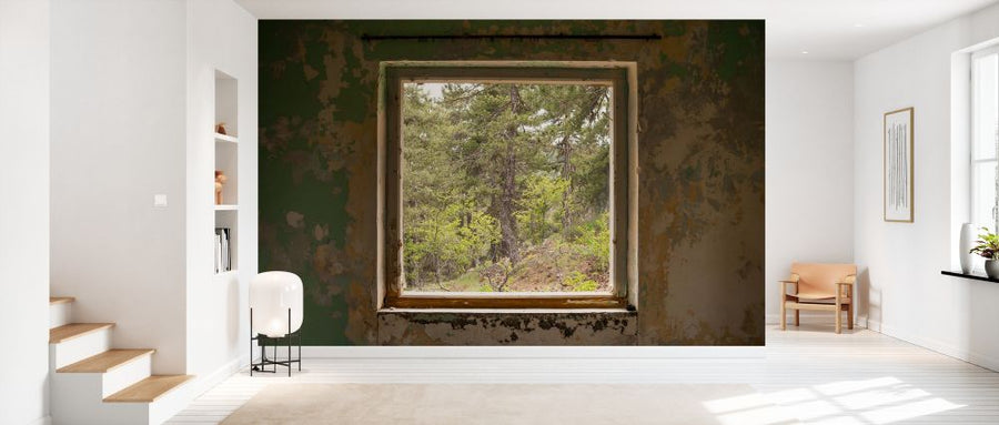 PHOTOWALL / Window into Enchanted Forest (e327865)