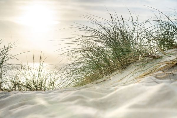 PHOTOWALL / Sandy Dunes and Sea (e327874)