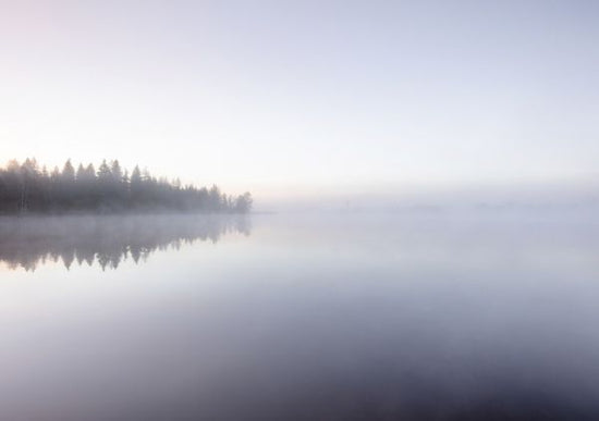 PHOTOWALL / Morning at the Lake (e327876)
