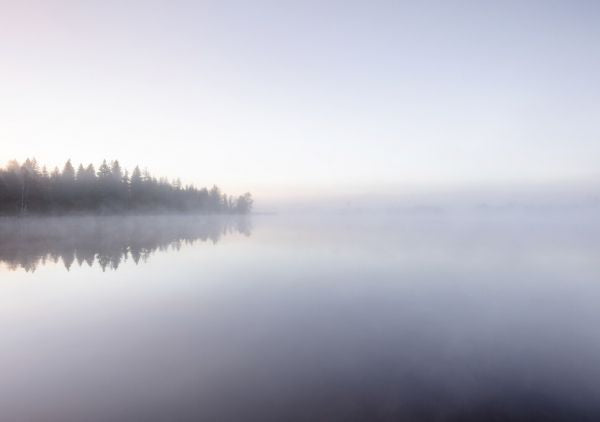 PHOTOWALL / Morning at the Lake (e327876)