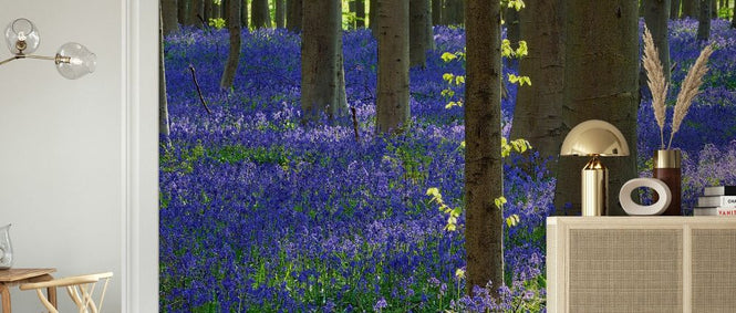 PHOTOWALL / Bluebell Flowers (e327887)