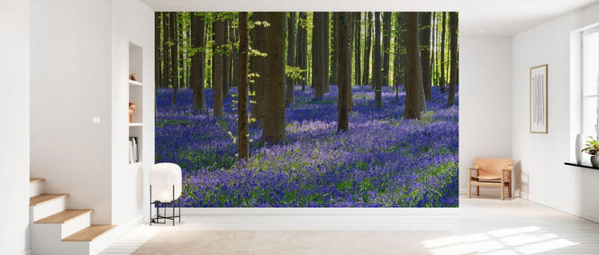 PHOTOWALL / Bluebell Flowers (e327887)