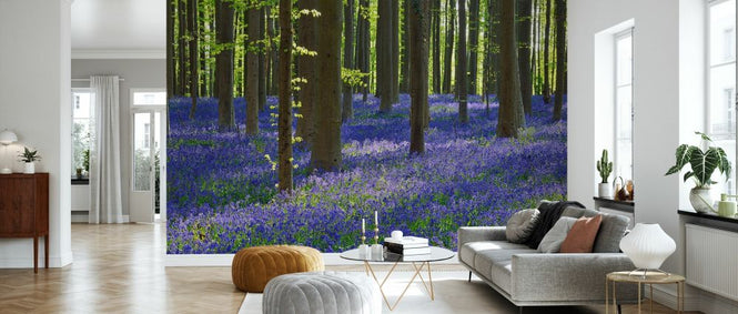 PHOTOWALL / Bluebell Flowers (e327887)