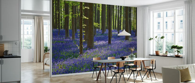 PHOTOWALL / Bluebell Flowers (e327887)