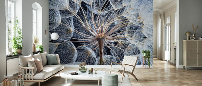 PHOTOWALL / Dandelion (e327899)