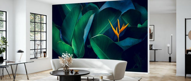PHOTOWALL / Tropical Leaves and Flower (e327901)