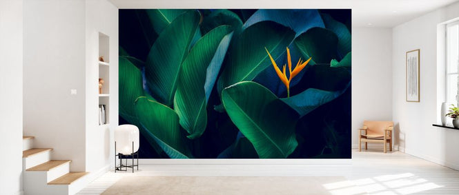 PHOTOWALL / Tropical Leaves and Flower (e327901)