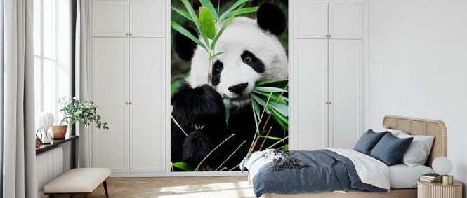 PHOTOWALL / Giant Panda (e328616)