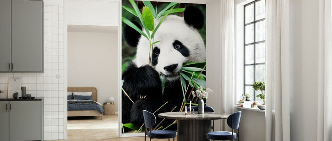 PHOTOWALL / Giant Panda (e328616)